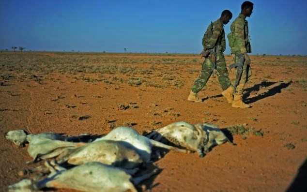 Servicemen walk past a flock of dead goats in a dry area in northeastern Somalia, on December 15, 2016 where drought has severely affected livestock ©Mohamed Abdiwahab (AFP/File)