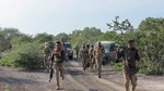 Ciidanka dowladda iyo kuwa Jubbaland oo xubno badan Al-shabaab uga dilay Jubbada Hoose
