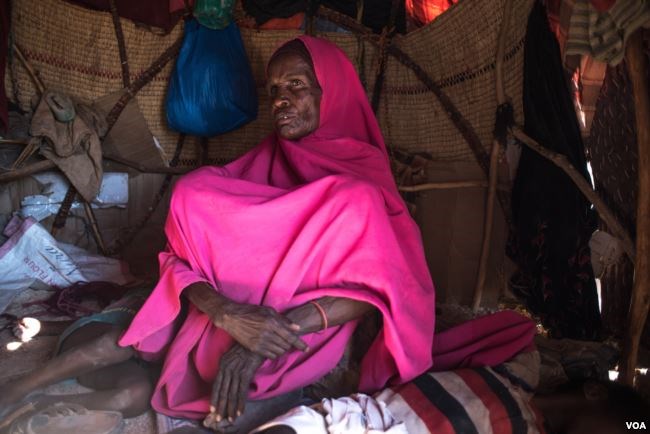 Geelo Ismail Mohamed lives on the outskirts of a village in a makeshift hut of wooden poles and scraps of cloth, Feb.9, 2017. (VOA/Jason Patinkin)