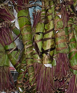 Khat