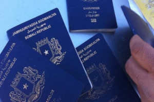 Germany prepares to recognize Somali passport