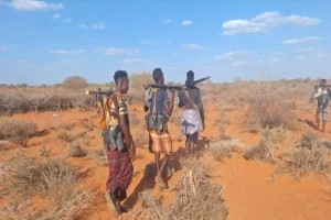 Dagaal beeleed khasaare gaystay oo ka dhacay gobollada galbeedka Somaliland