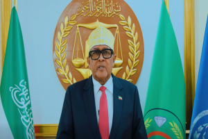 Madaxweyne Cirro: Dowlado kale oo badan ayaa inna ictiraafi doona